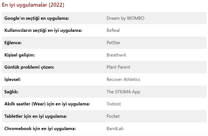 Google Play’in En İyileri Belli Oldu! İşte 2022’nin en popüler oyunları…