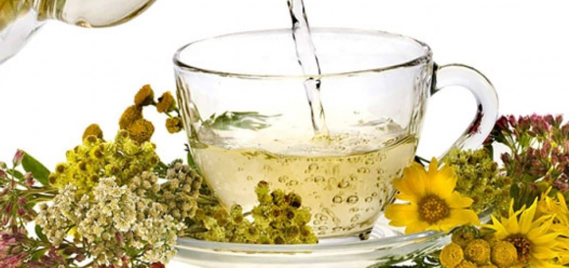 Bitkisel Çayların Faydaları Saymakla Bitmiyor! Hangi Çay Hangi Hastalığa Çare?