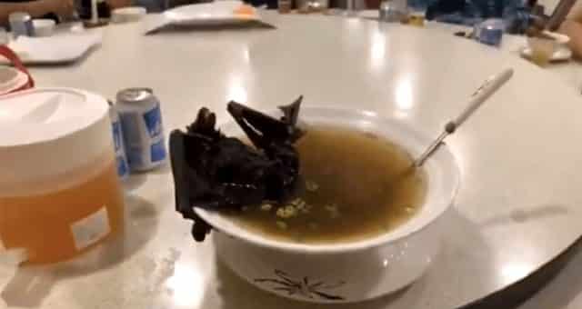 Herkesi Korkutan Virüs Hakkında Ortaya Atılan İddialar