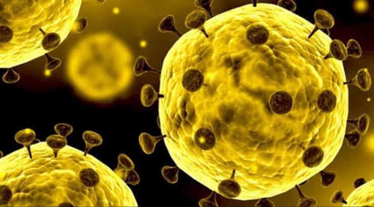 Dünya Sağlık Örgütü Acil Durum Düğmesine Bastı: Koronavirüs
