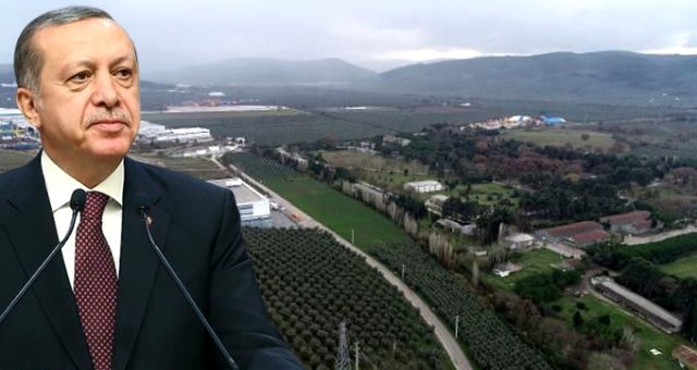 Cumhurbaşkanı Erdoğan TOGG Müjdesini Verdi!