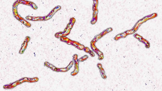 En Tehlikeli Bakterileri Yok Eden Antibiyotik Keşfedildi!