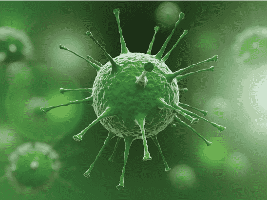 Koronavirüsün İnsan Hücrelerine Yayılmasını Sağlayan Proteinin Yapısı Çözüldü