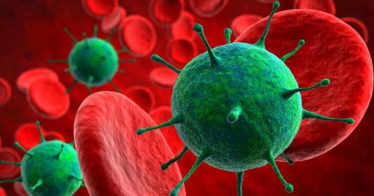 5 Soruda Virüsler Nedir ve Bizleri Neden Bu Kadar Hasta Ederler ?