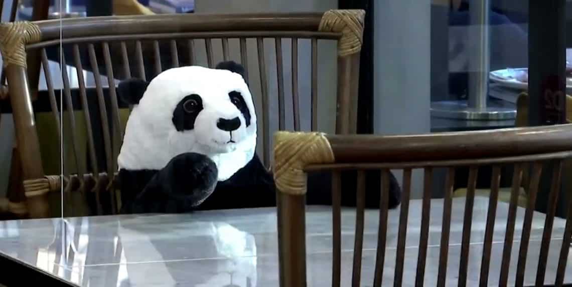 Restoranlardaki Masalara Misafir: Oyuncak Panda