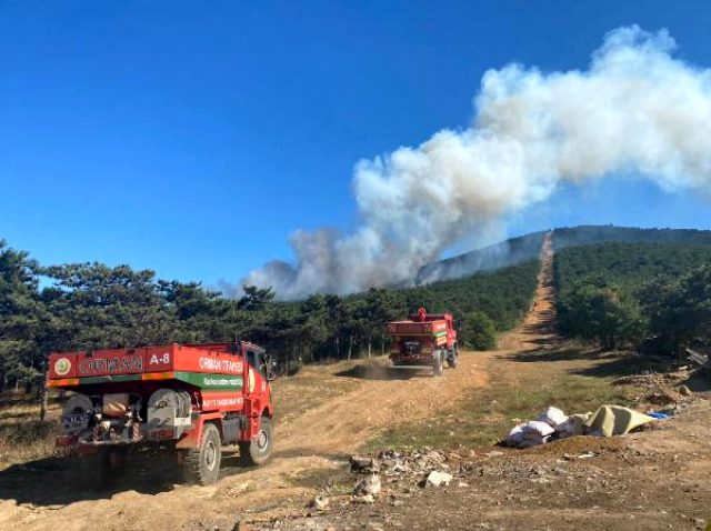 İstanbul'da Bilinmeyen Bir Sebeple Çıkan Yangın Paniğe Neden Oldu