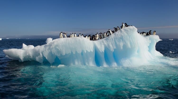 Güney Kutbu'nda Sıcaklık Artıyor