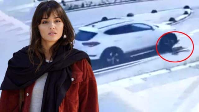 Ünlü İsimlerden Köpeği Ezip Kaçan Doçent'e Tepki Yağdı!