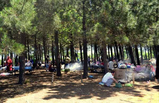 Bakan Koca'nın Uyardığı Kentte Piknikçiler Kalabalık Oluşturdu