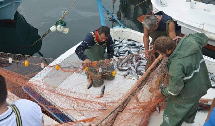 Balıkçılar Yeni Av Sezonuna Umutla Bakıyor