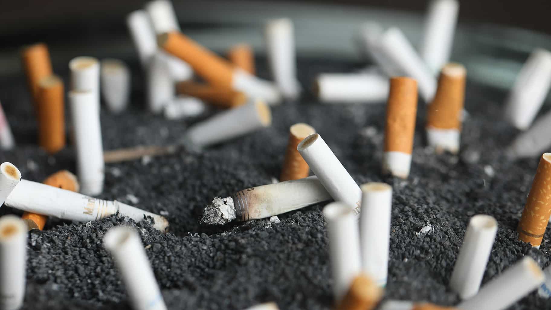 Almanya Sigara İzmariti Temizlemek İçin Servet Harcanıyor