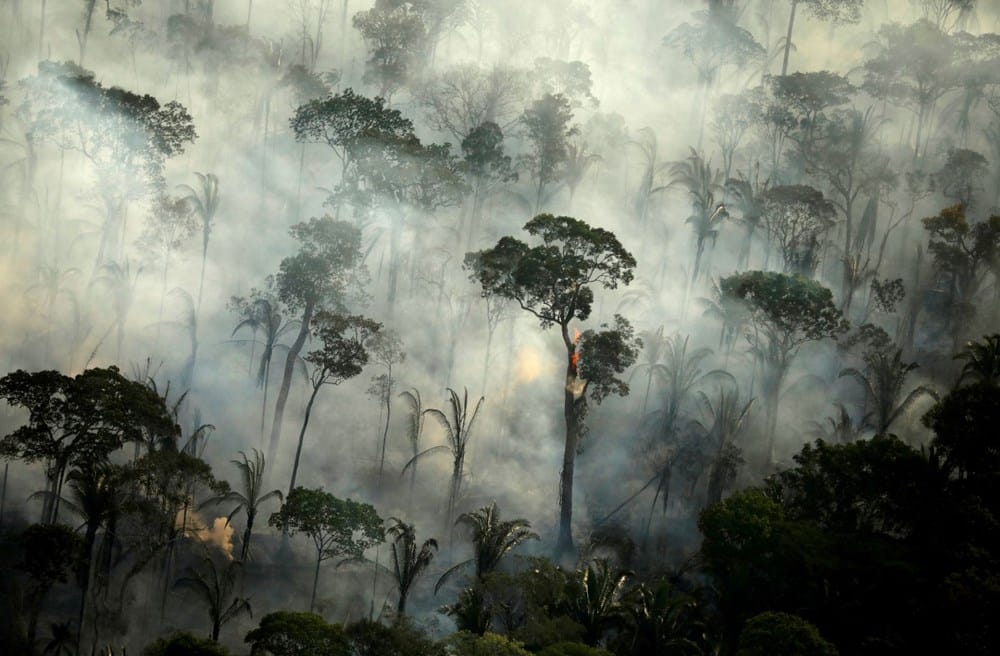Amazon'da 10 Günde 10 Bin Yangın