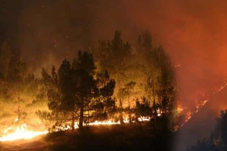 Adana’da Günlerdir Süren Yangın Kontrol Altına Alındı