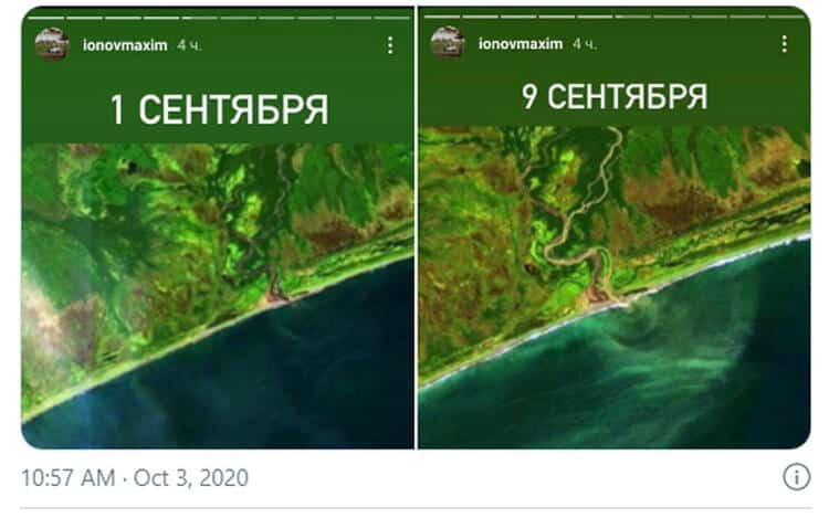 Rusya’da Kıyıya Vuran Deniz Canlıları Çevre Örgütlerini Ayaklandırdı!