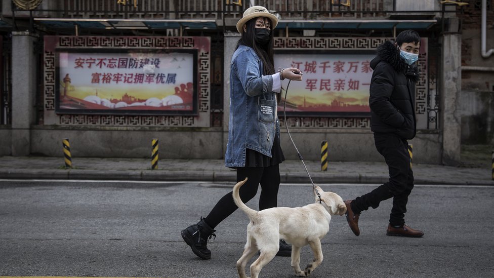 Çin Kasabasından Canice Yasak: Köpek Gezdirme Yasağını Üç Kez İhlal Edenlerin Köpeği Öldürülecek!