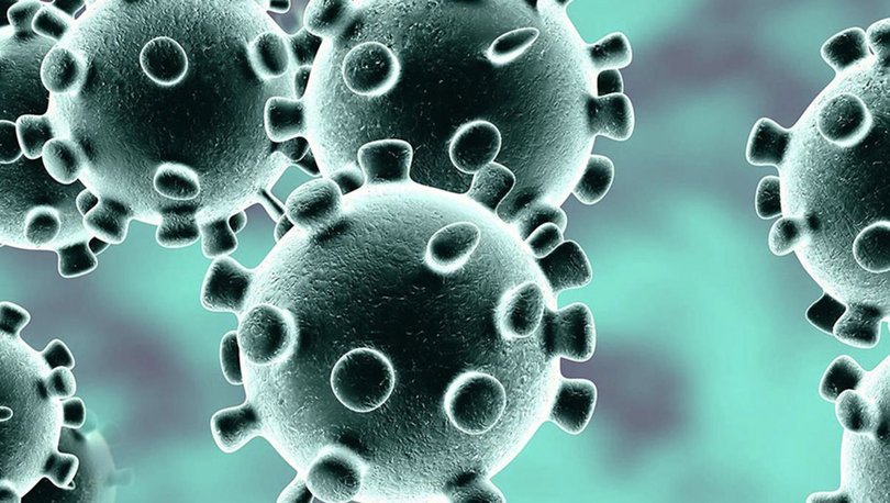 Koronavirüs En Çok Bu Zaman Aralığında Yayılıyor!