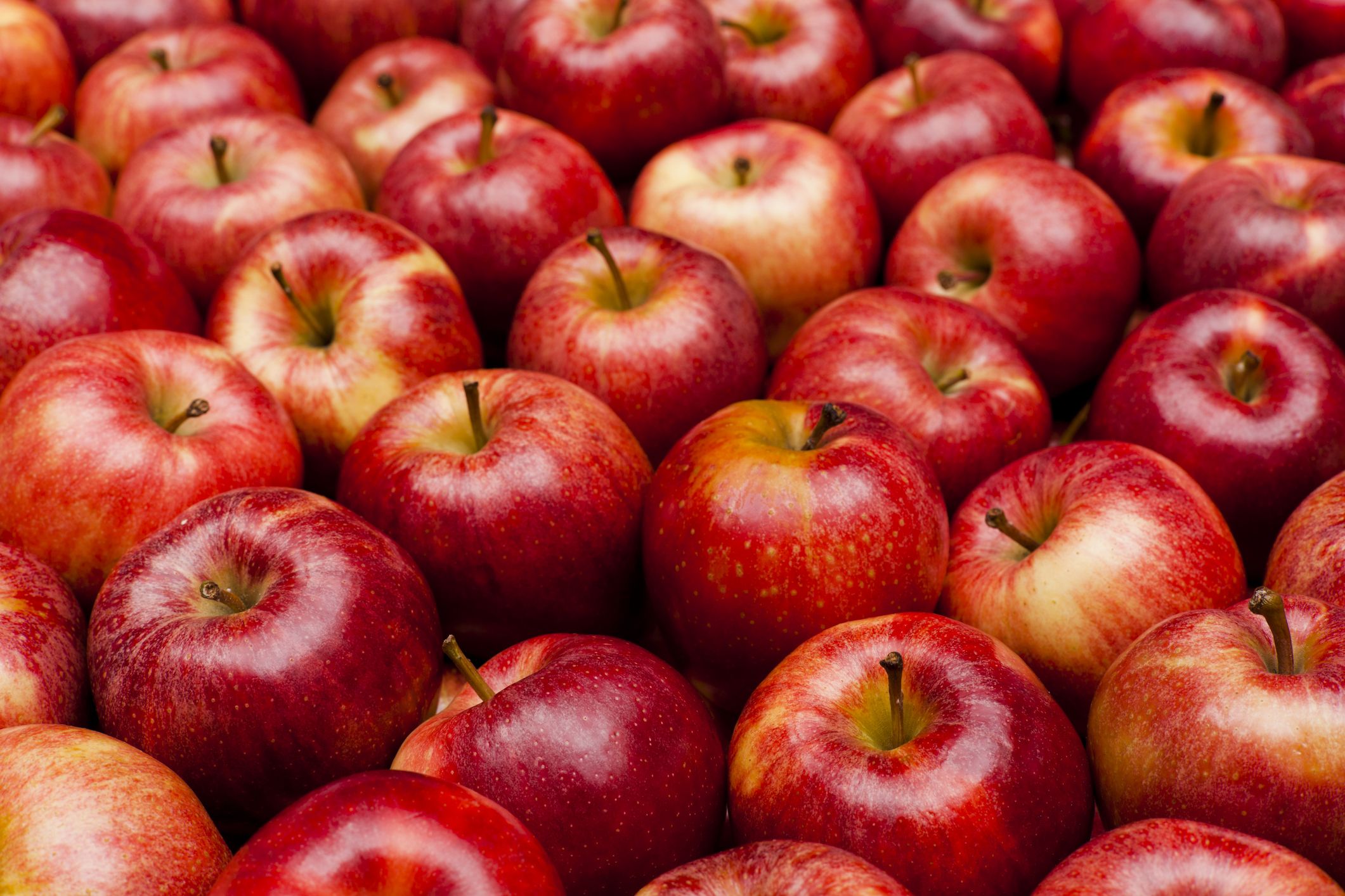 Çürük Elmalardan Meyve Suyu Yapılacağı İddiası Üzerine İnceleme Başlatıldı