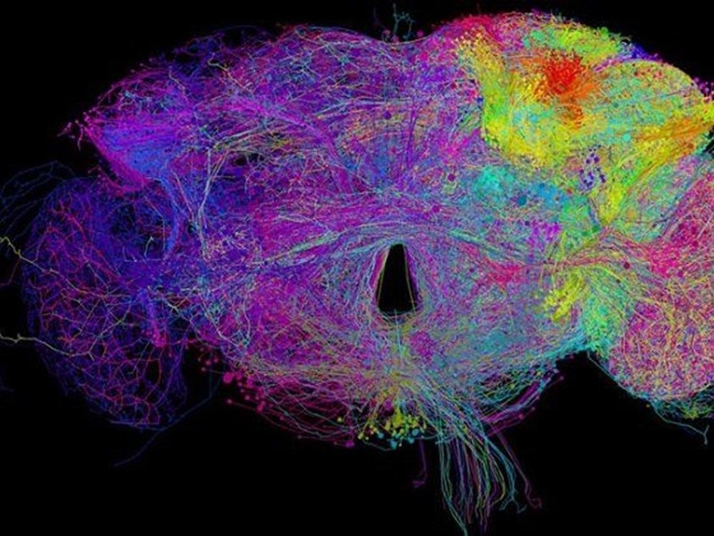 2020 Yılında Bilim ve Teknoloji Dünyasında Neler Oldu?