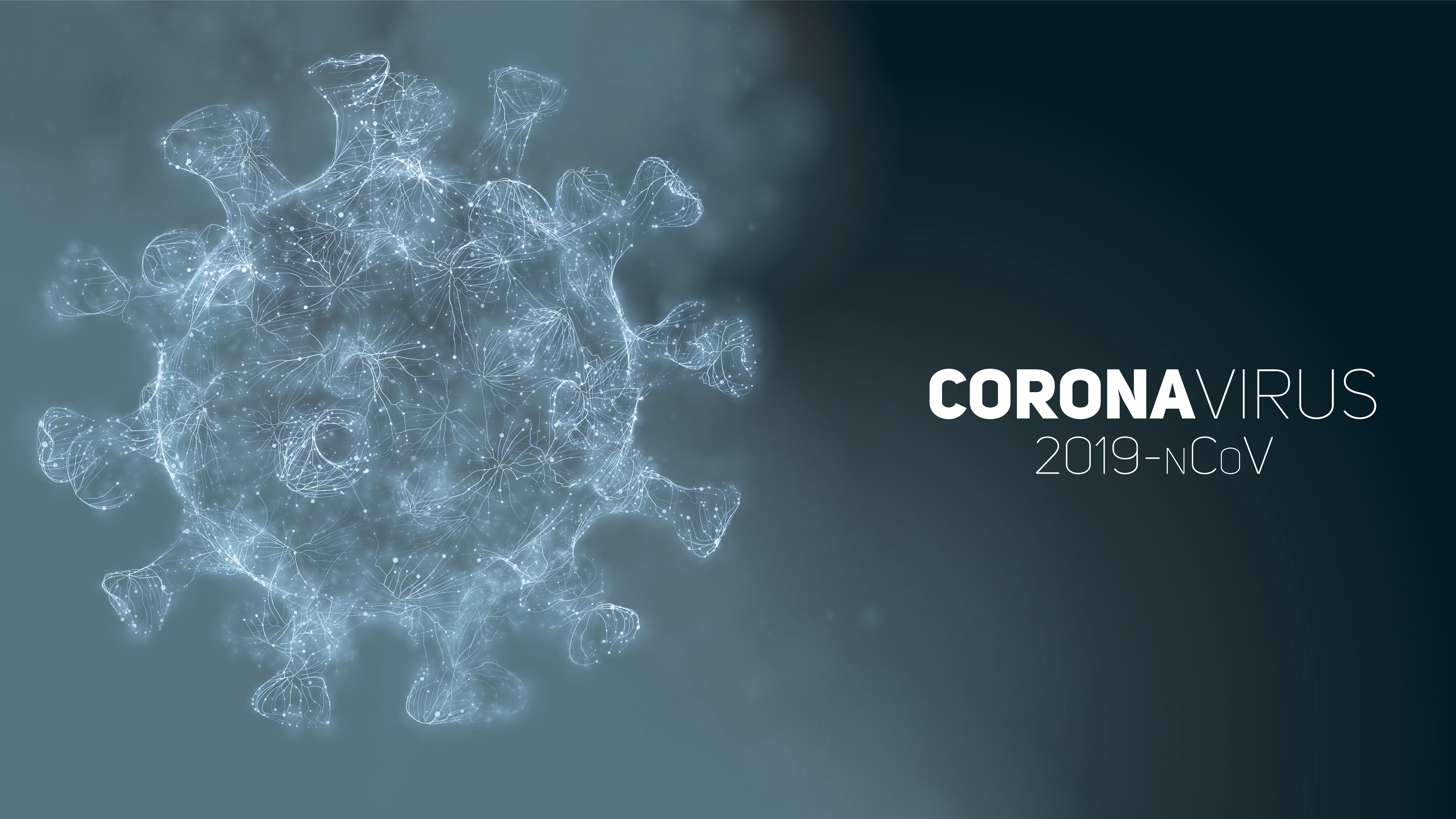 21 Aralık Koronavirüs Tablosu Açıklandı