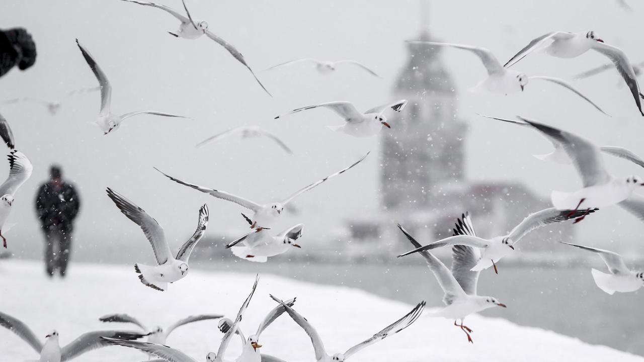 İstanbul’da Kar Yağışı Bugün Sona Eriyor