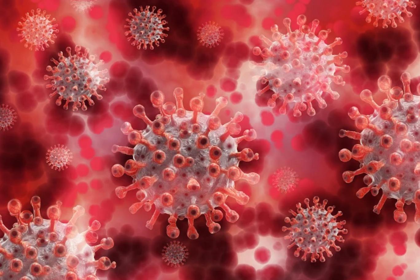 Koronavirüsün İki Yeni Varyantı Bulundu!