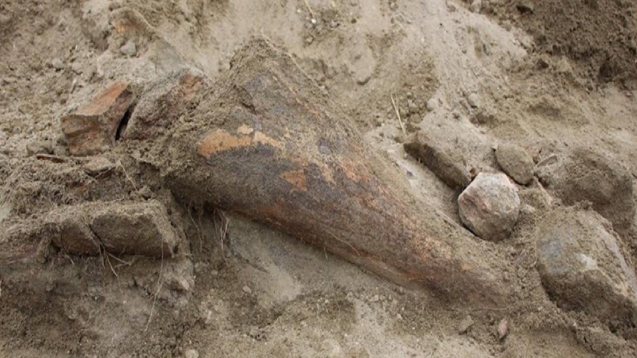 Köylüler İçme Suyu Ararken Fosil Buldu!