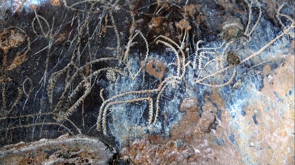 8 Bin Yıllık Kaya Resimleri Bulundu!