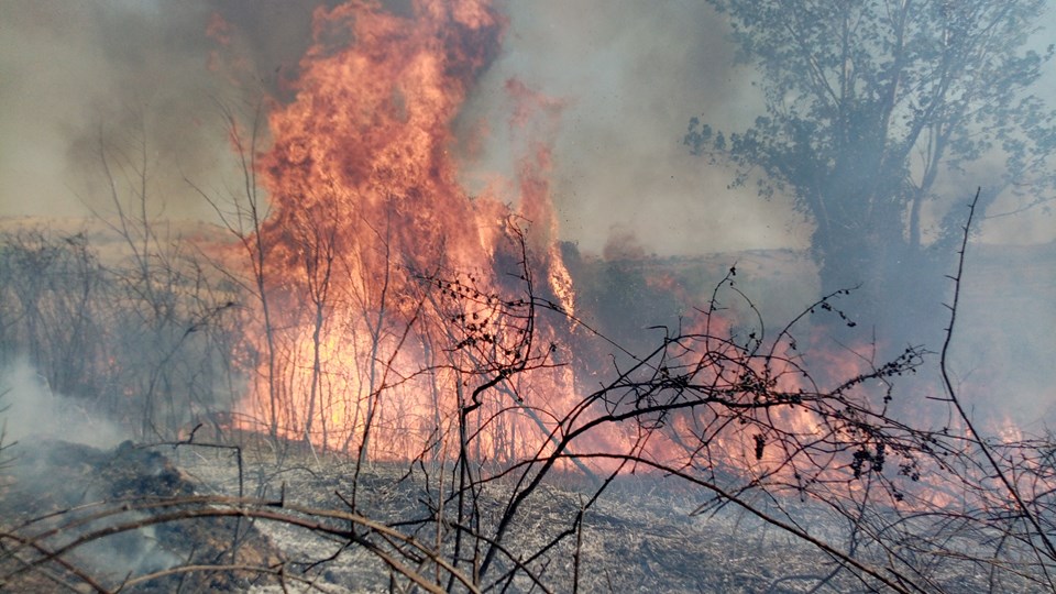 Tekirdağ Ormanlarında Yangın: 5 Nokta Alevler İçinde!
