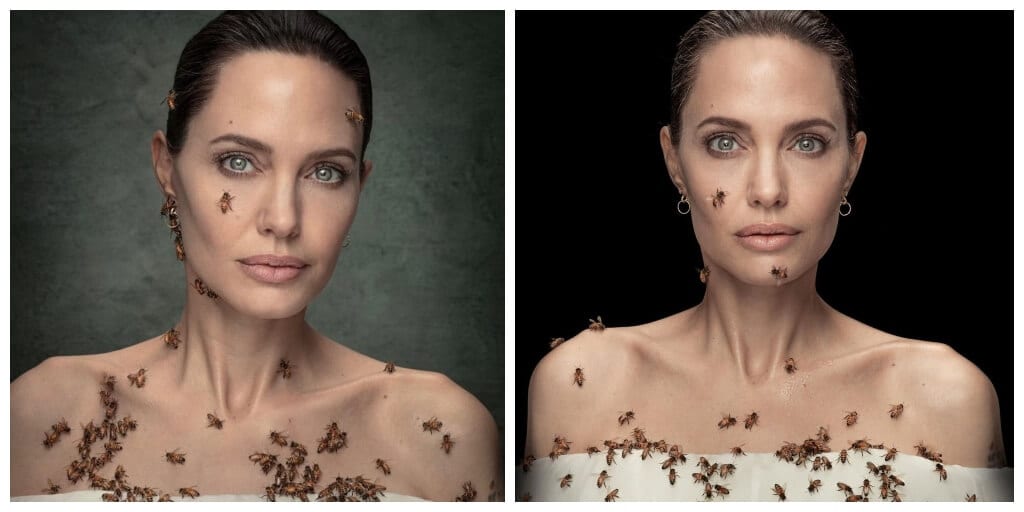 Angelina Jolie Yüzlerce Arıyla Poz Verdi