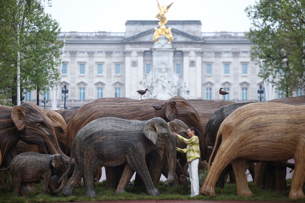 Buckingham Sarayı Önünde Gerçek Boyutlu Fil Sergisi