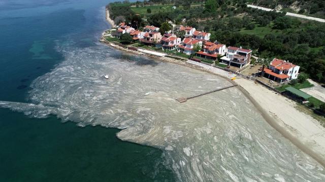 Marmara Denizi’ni Saran Deniz Salyasının 3 Nedeni