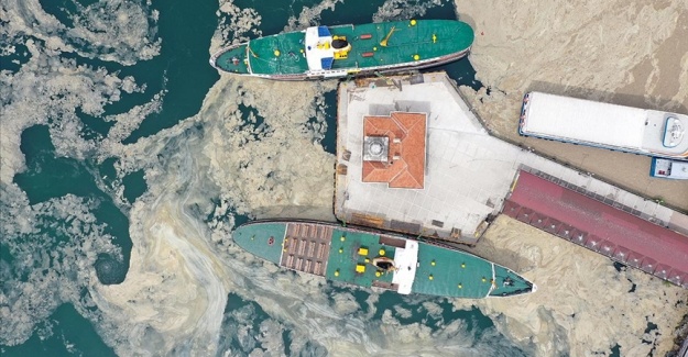 Deniz Salyası Marmara Denizi'ndeki Yaşamı Tehdit Ediyor