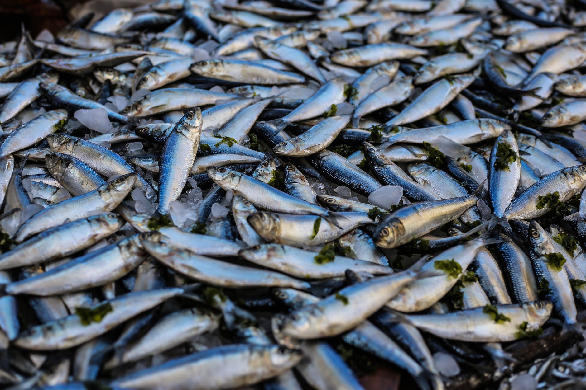 Balık Tüketiminin Yanında Uzmanlardan Omega-3 Takviye Uyarısı