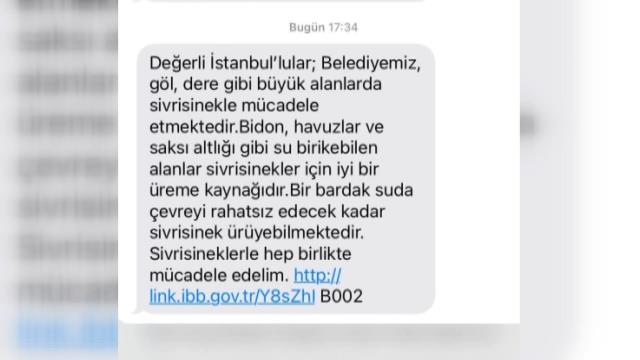 İstanbul’da Sivrisinek Paniği Yaşandı: İBB Vatandaşa Uyarı Mesajı Attı