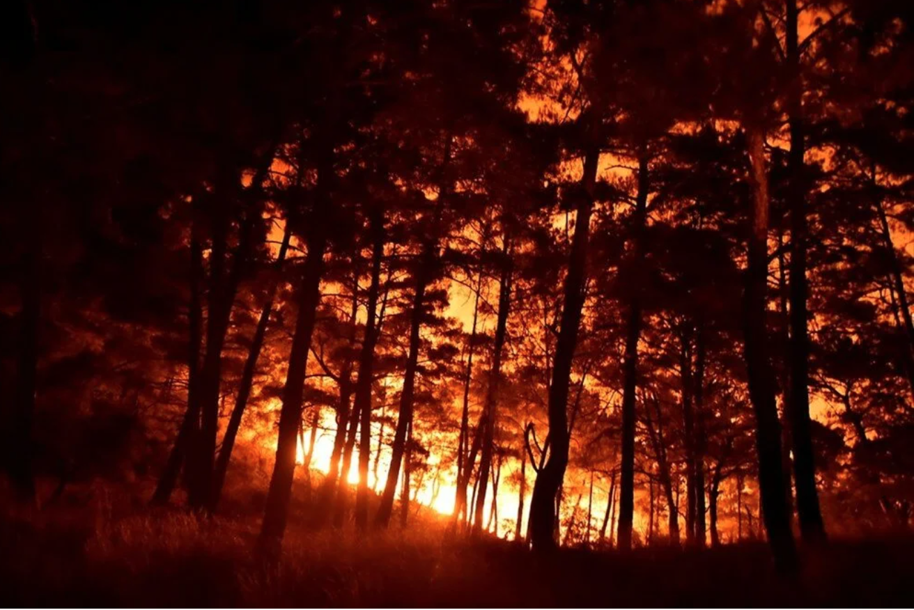 Hatay ve Mersin’de Çıkan Orman Yangını Paniğe Neden Oldu!