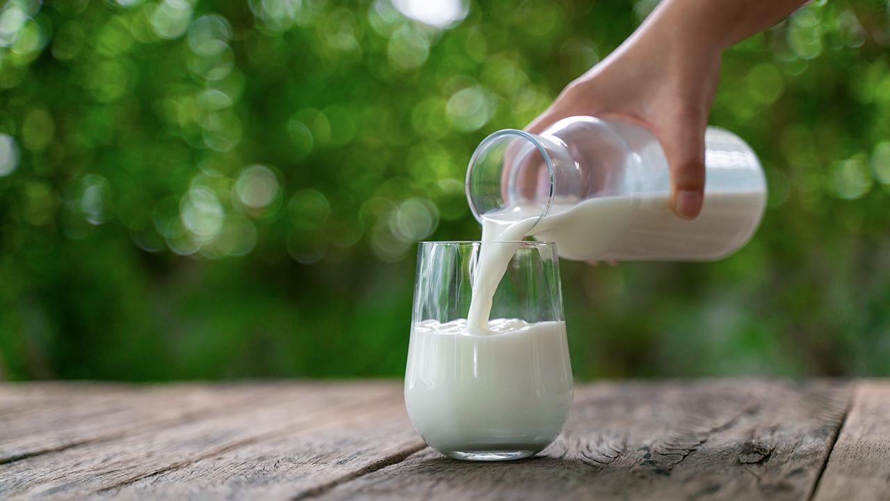 Sütün Bilinmeyen Kullanım Alanları