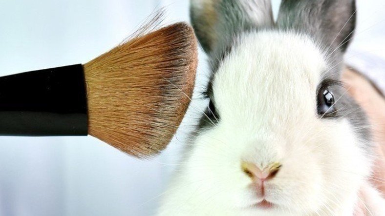 Meksika’da Kozmetik Ürünlerin Hayvanlar Üzerinde Test Edilmesi Yasaklanıyor!