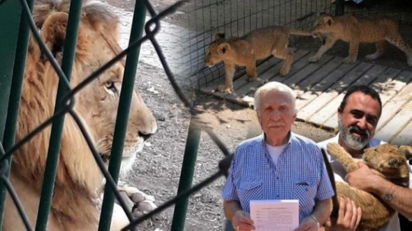 Mahalleli Ankara Gölbaşı’na Açılan Hayvanat Bahçesinden Şikayetçi Oldu