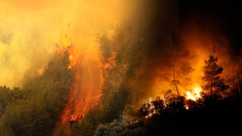 8 Gündür Devam Eden Orman Yangınlarında Son Durum