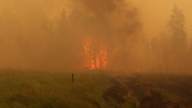 Rusya’da ‘Aşırı Yangın Tehlikesi’ Uyarısı Yapıldı
