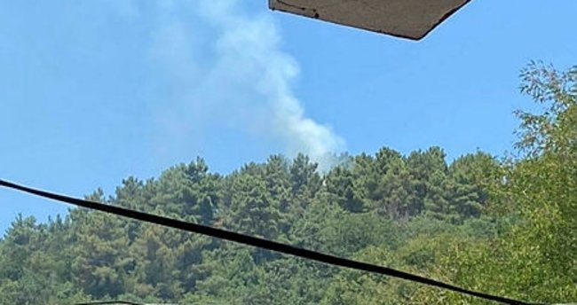 İstanbul Beykoz’da Ormanlık Alanda Yangın Çıktı!