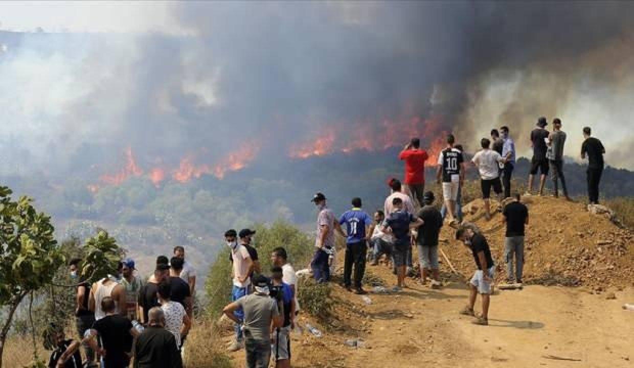 Cezayir’de Orman Yangını Çıkardığı İddia Edilen Genç Yakılarak Öldürüldü!