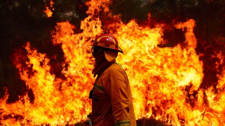 Türkiye’deki Orman Yangınları Karbon Emisyonunu Artırdı