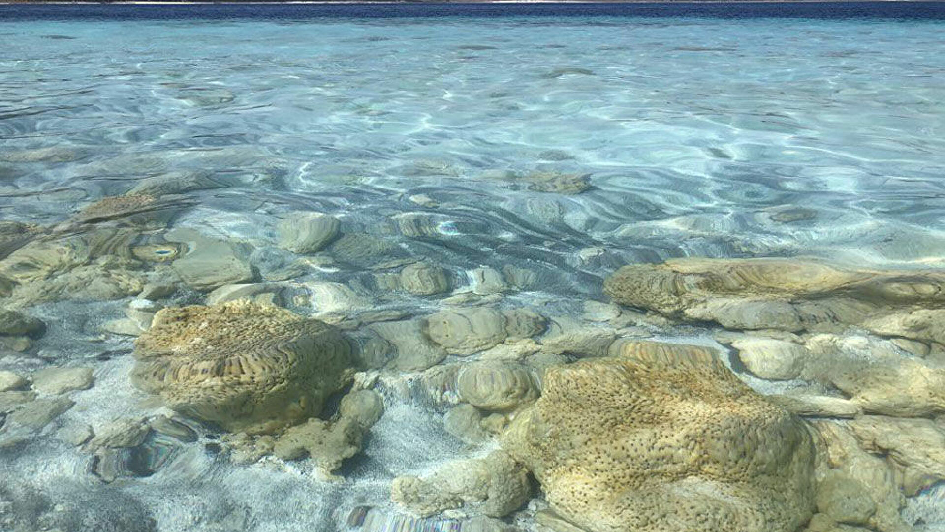 NASA’dan Salda Paylaşımı