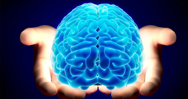 Araştırma: İnsan Beyni Gün Geçtikçe Küçüldü
