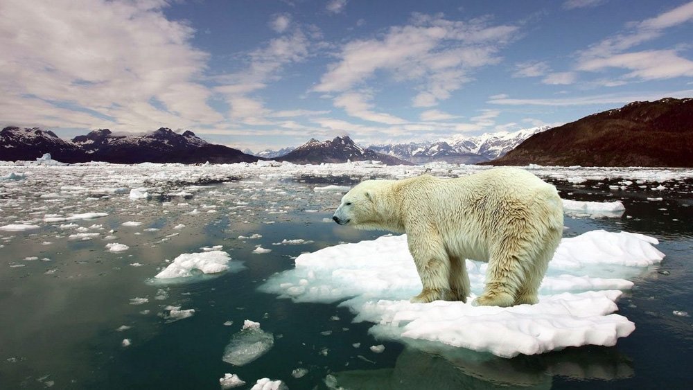 İklim Kriziyle Mücadele İçin Atılması Gereken 7 Adım