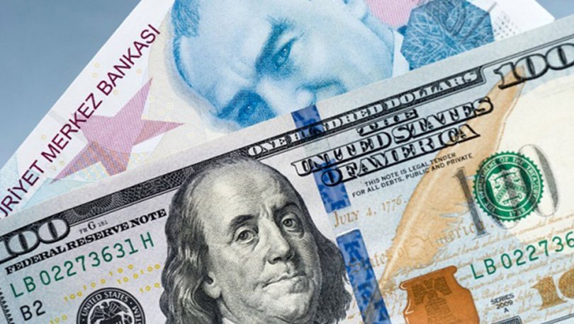 Dolar ve Euro Üst Üste Rekor Tazelemeye Devam Ediyor
