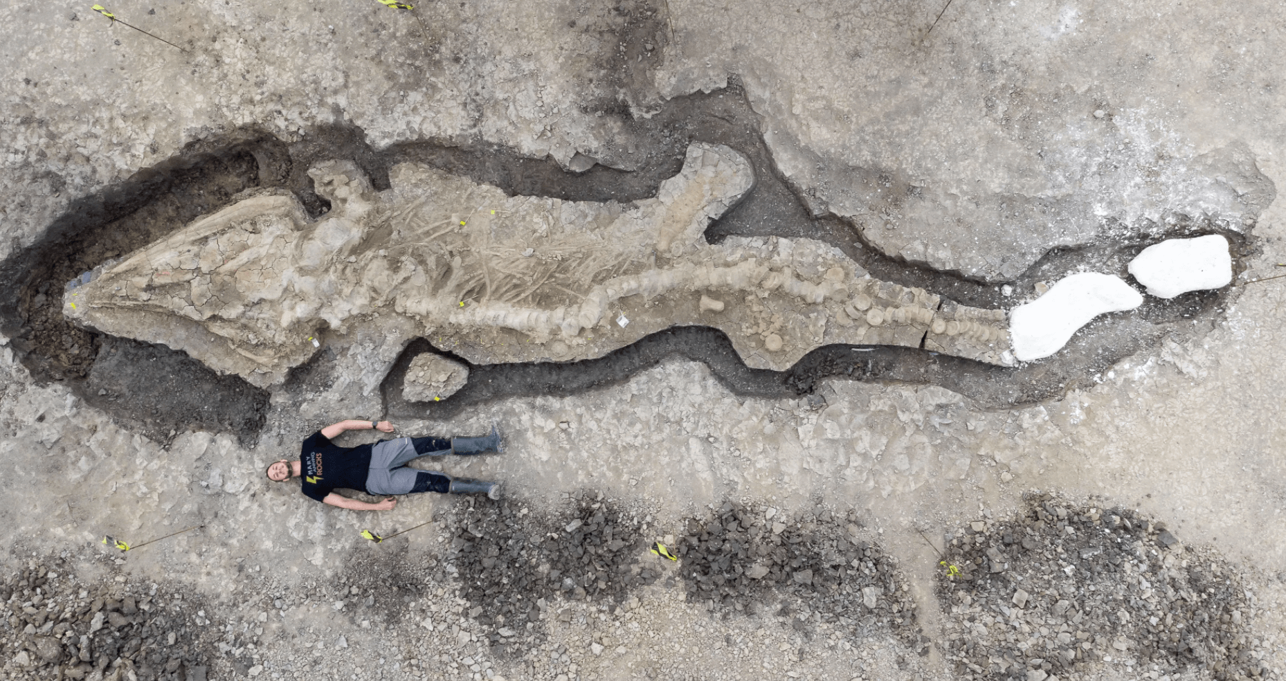180 Milyon Yıllık Deniz Ejderhası Fosili Keşfedildi