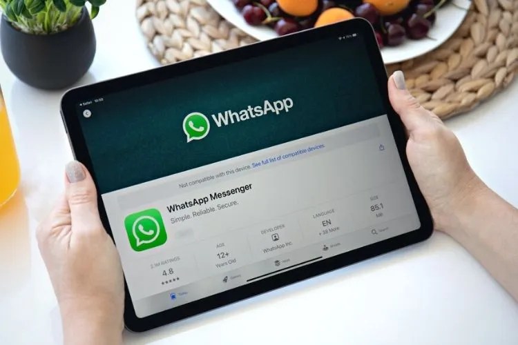 WhatsApp Yöneticisinden iPad Uygulamasına Yönelik Açıklama