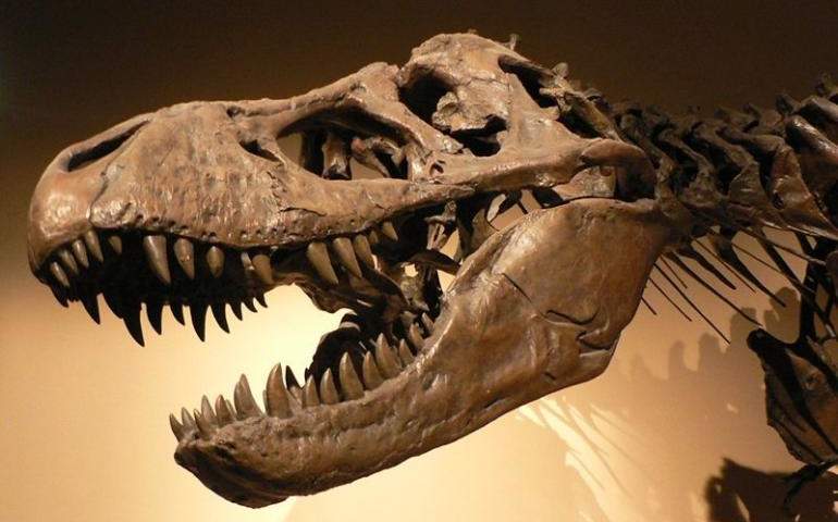 Dinozorların da Solunum Rahatsızlığı Yaşadığı Keşfedildi